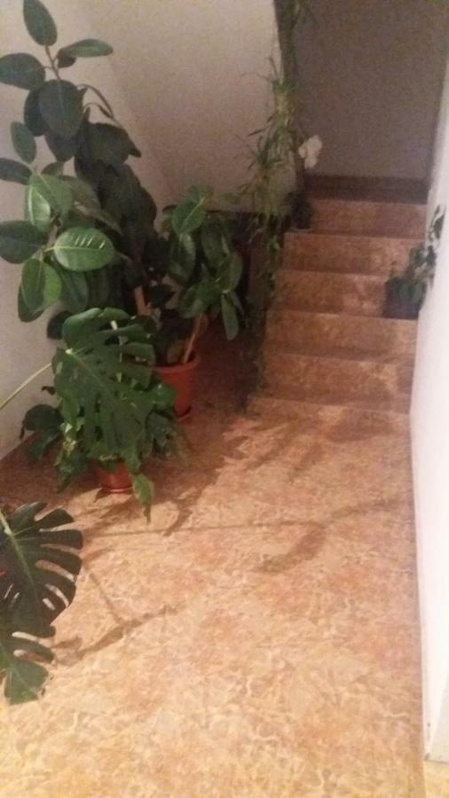 Pensiunea Miesca Matisesti エクステリア 写真