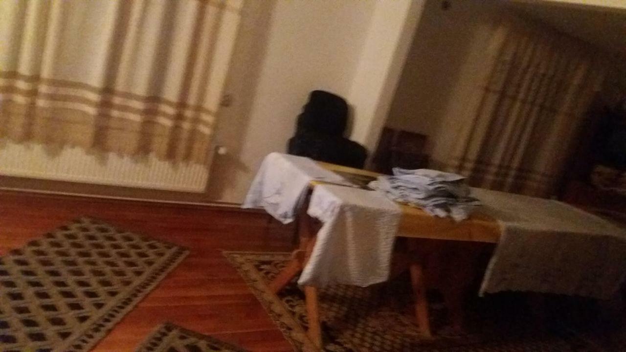 Pensiunea Miesca Matisesti エクステリア 写真
